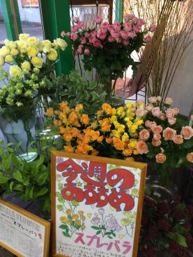 ｜「ムスメヤ花店」　（山形県長井市の花キューピット加盟店 花屋）のブログ